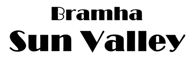 Bramha Sun Valley Logo - Luxury Residential Project in Bavdhan